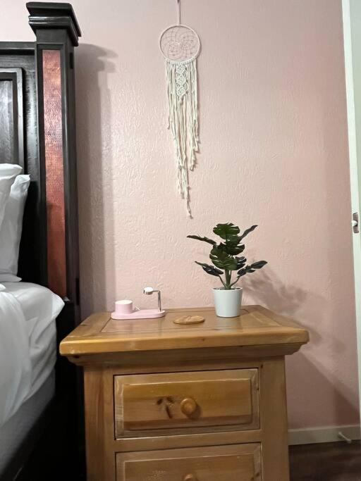Healing Haven King Bed Suite Dallas Extérieur photo